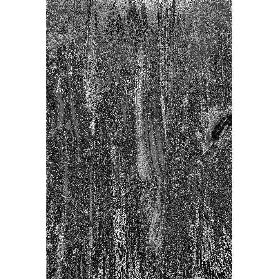 American Black Walnut 150mm Uv 14 3mm X Rl