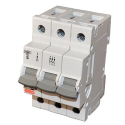 63A Mcb Type C Tp 6Ka