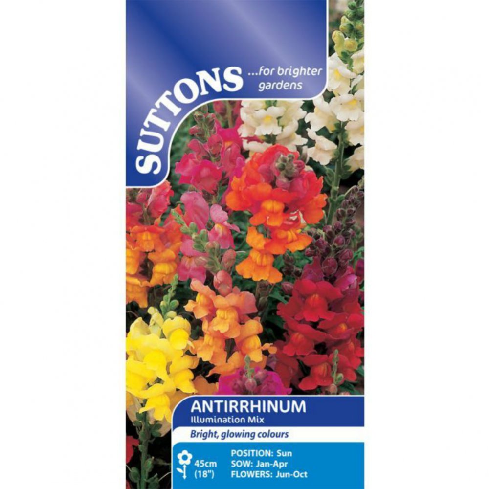 Suttons Antirrhinum Illumination Mix