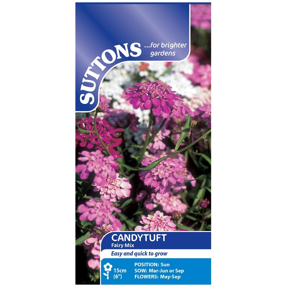 Suttons Candytuft Fairy Mix