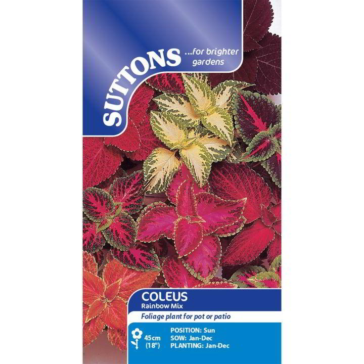 Suttons Coleus Rainbow Mix