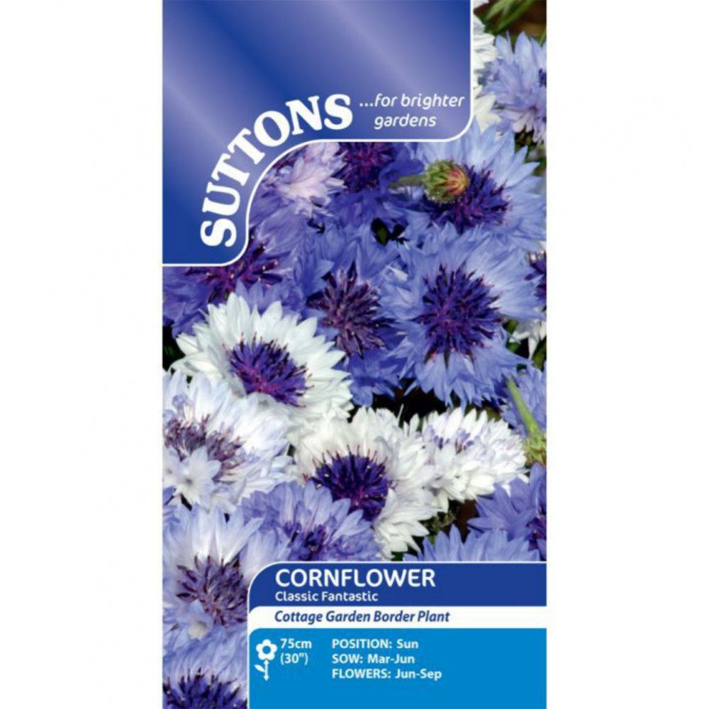 Suttons Cornflower Classic Fantastic