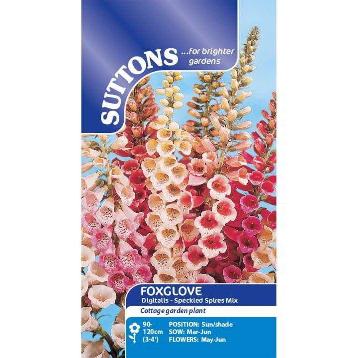 Suttons Foxglove Digitalis Speckled Spires Mix