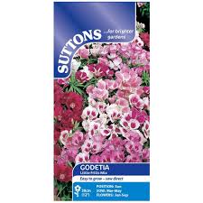 Suttons Godetia Little Frills Mix