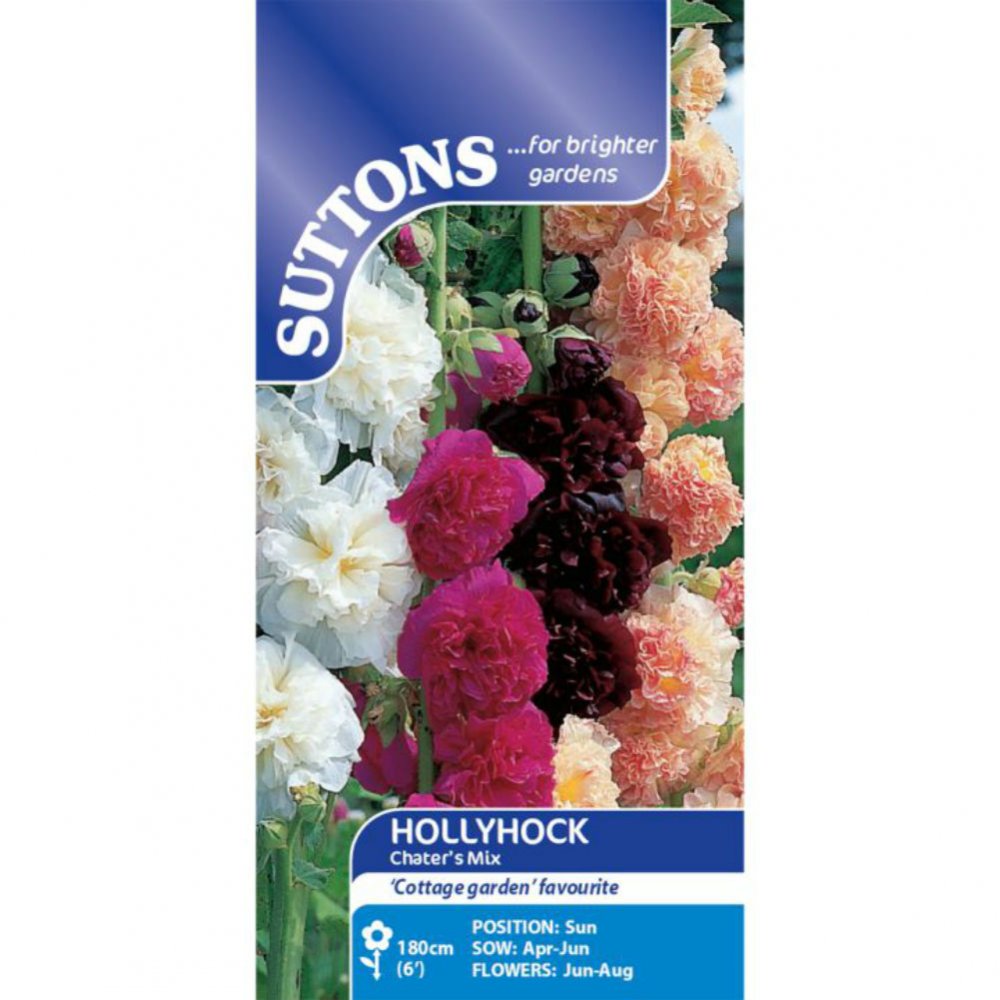 Suttons Hollyhock Chater'S Mix