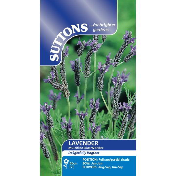 Suttons Lavender* Multifida Blue Wonder
