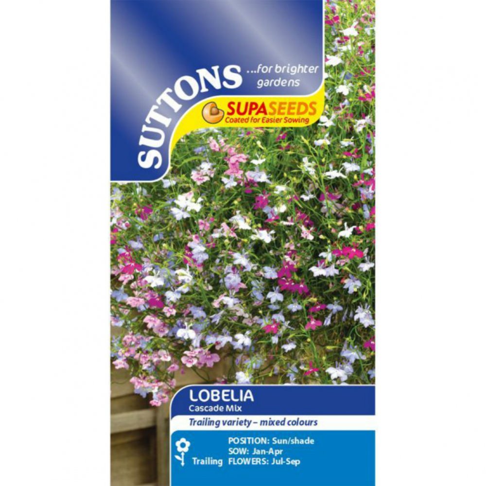 Suttons Lobelia Supacoat Cascade Mix