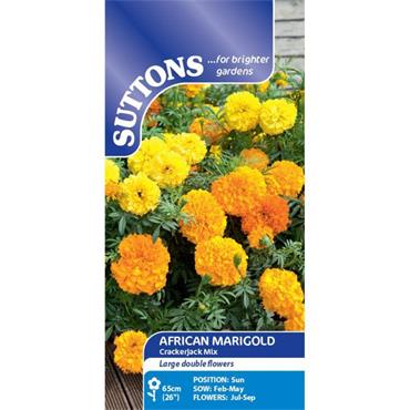 Suttons African Marigold Crackerjack Mix