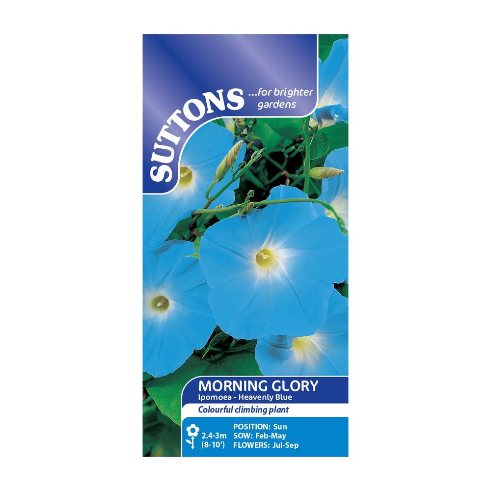 Suttons Morning Glory Ipomoea Heavenly Blue