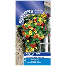 Suttons Nasturtium Dayglow Mix