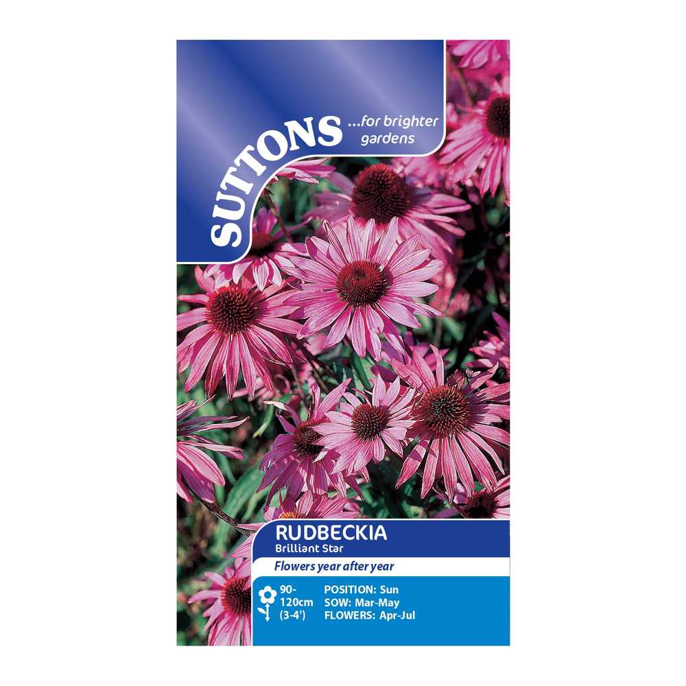 Suttons Rudbeckia Brilliant Star
