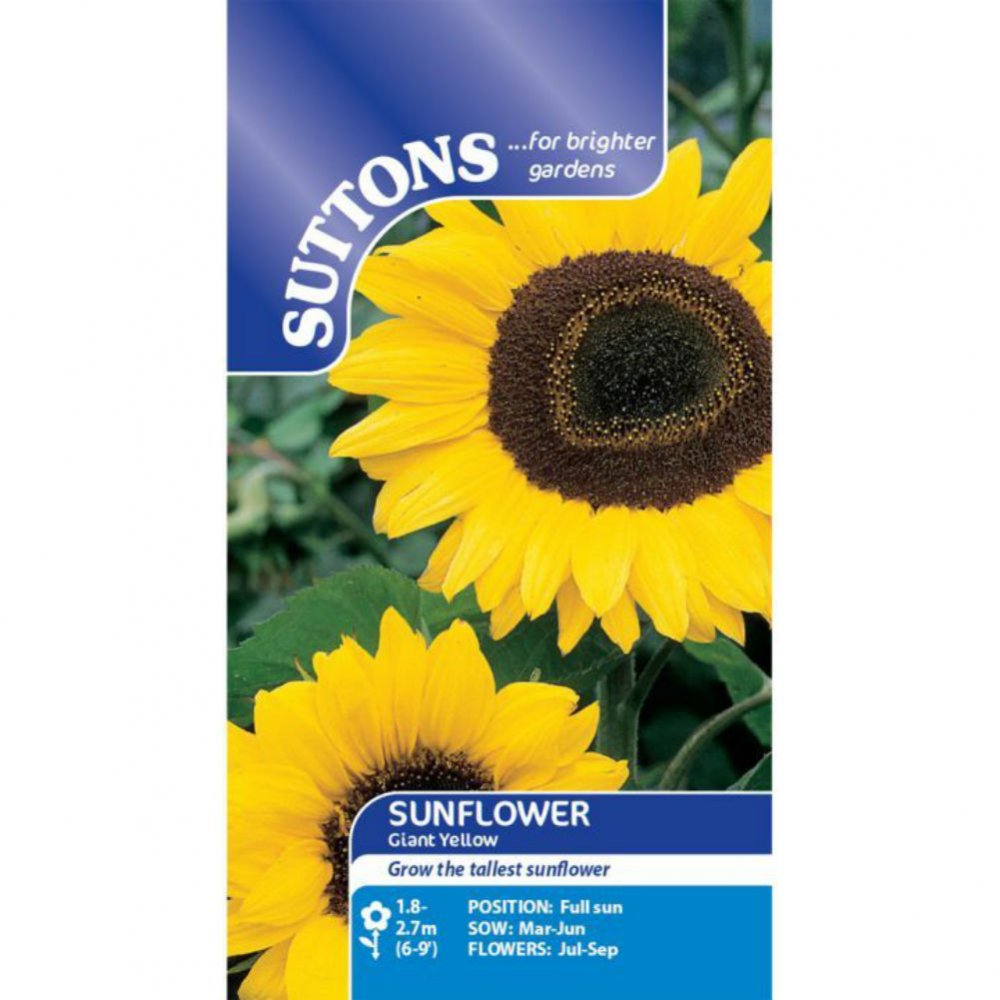 Suttons Sunflower