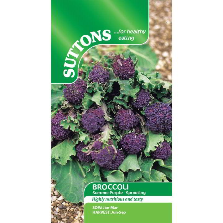 Suttons Broccoli Purple Sprouting