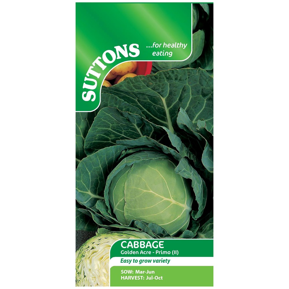 Suttons Cabbage Golden Acre Primo(11)