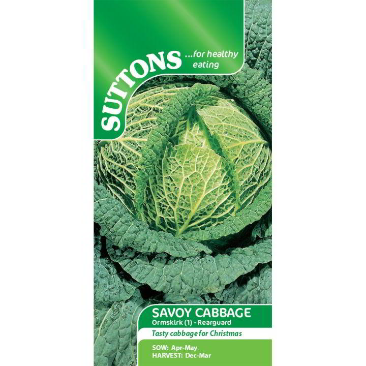 Suttons Savoy Cabbage Ormskirk 1 Rearguard