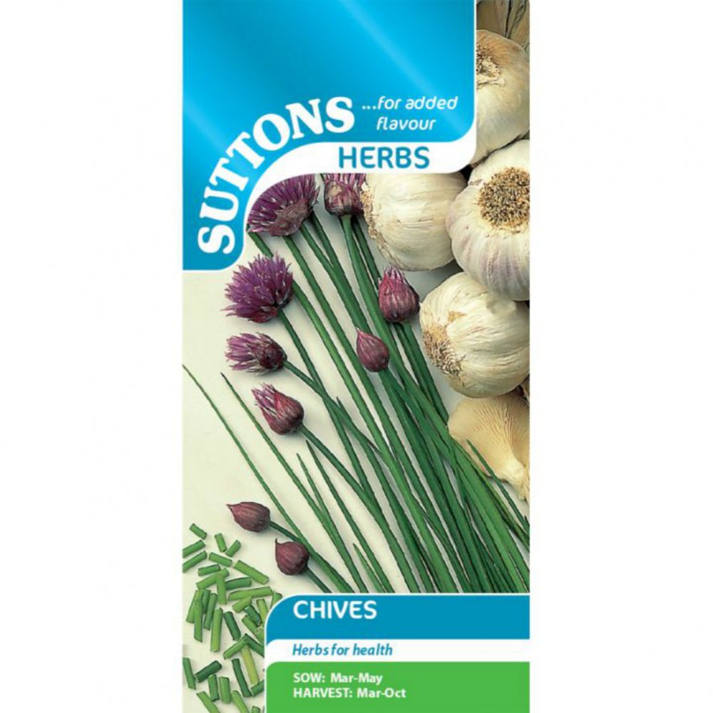 Suttons Chives