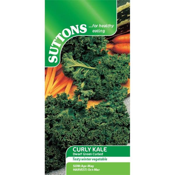 Suttons Curly Kale Dwarf Green Curled