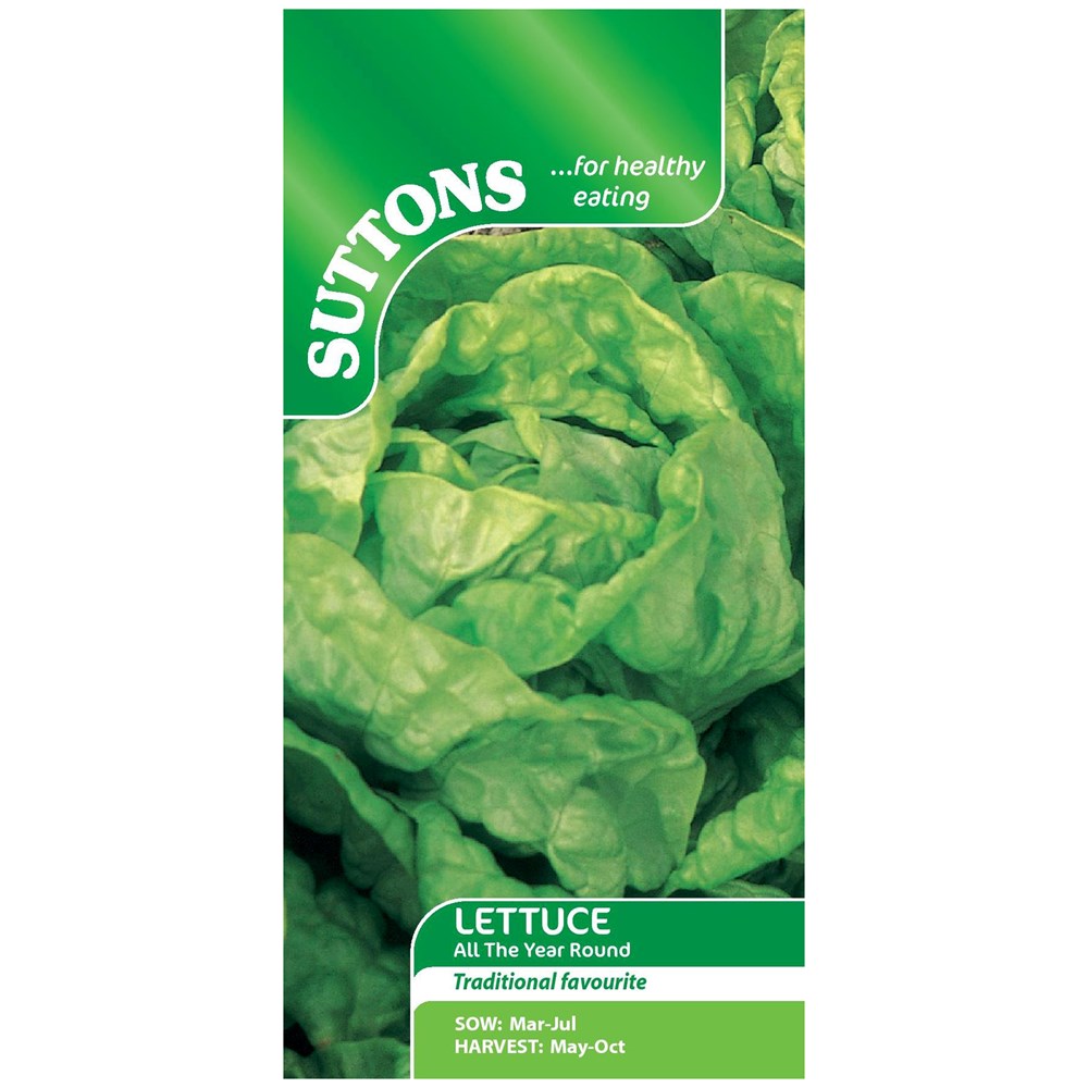 Suttons Lettuce All The Year Round