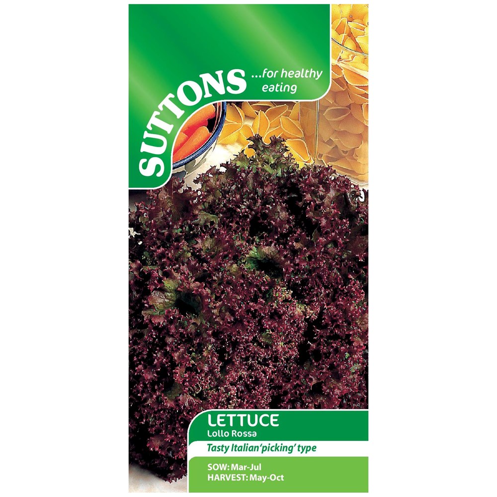 Suttons Lettuce Lollo Rossa