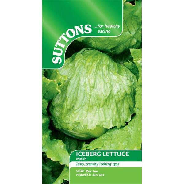 Suttons Lettuce Iceberg Match