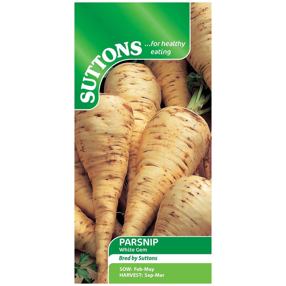 Suttons Parsnip White Gem