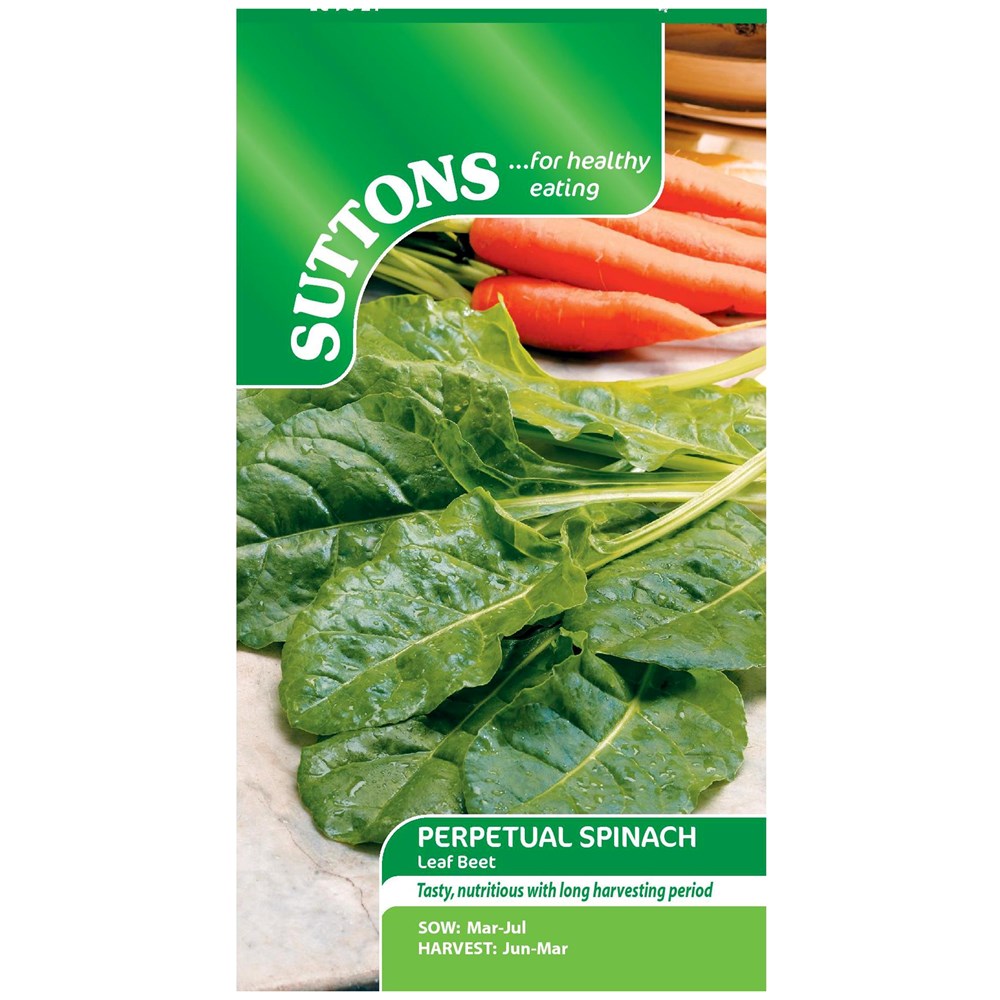 Suttons Perpetual Spinach Leaf Beet