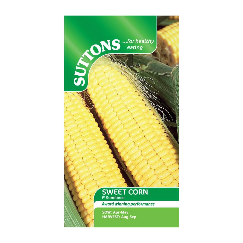 Suttons Sweet Corn Sundance F1
