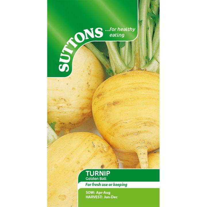 Suttons Turnip Golden Ball