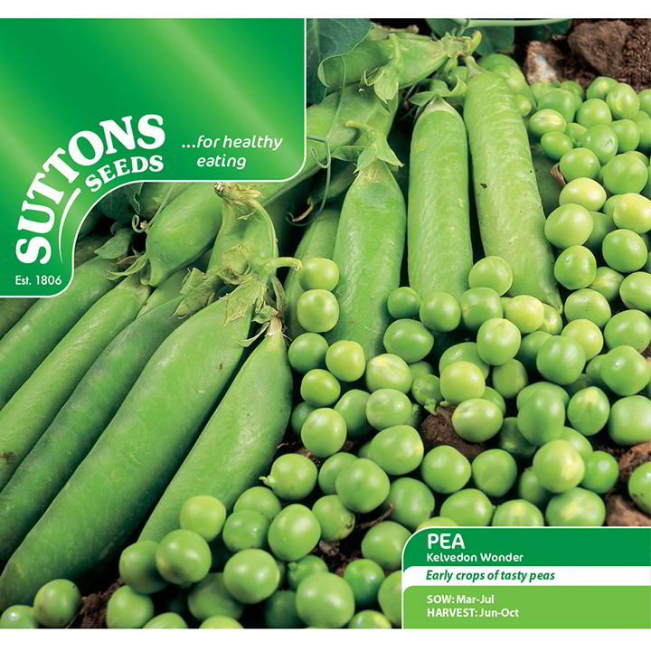 Suttons Pea Kelvedon Wonder