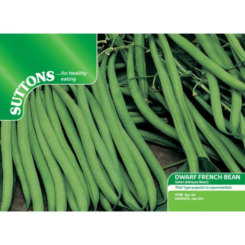 Suttons Dwarf French Bean Safari