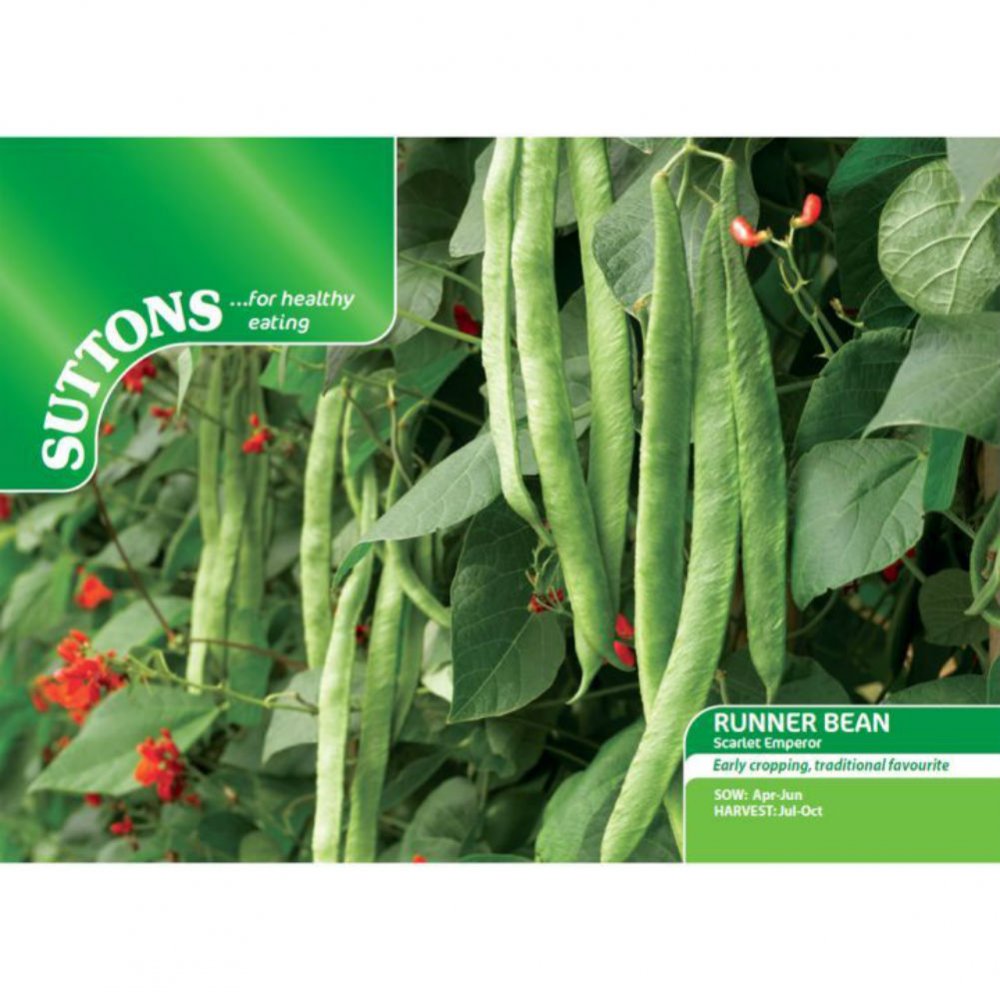 Suttons Runner Bean Scarlet Emperor