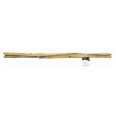 10Pc 150Cm Bamboo Plant Support