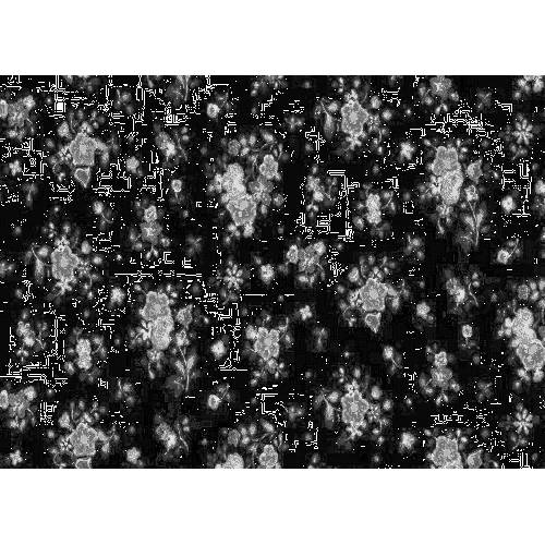 3460193 Dc Fix Self Adhesive 2mx45cm Sunflower