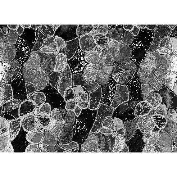 3460213 Dc Fix Self Adhesive 2mx45cm