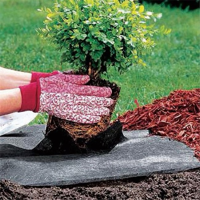 50mt-x-2mt-classic-weed-control-fabric