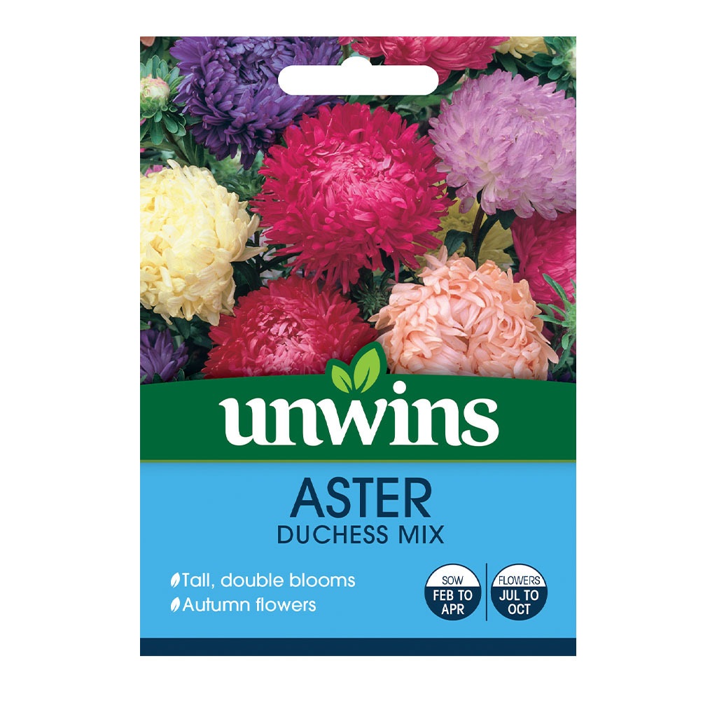 Unwins Aster Duchess Mix